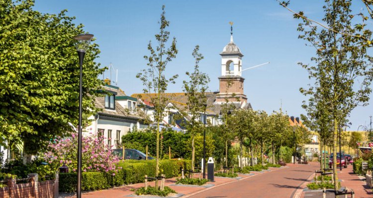 De Cocksdorp Texel