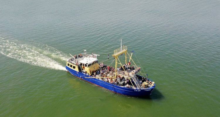 TX20 Garnalen vissen op Texel