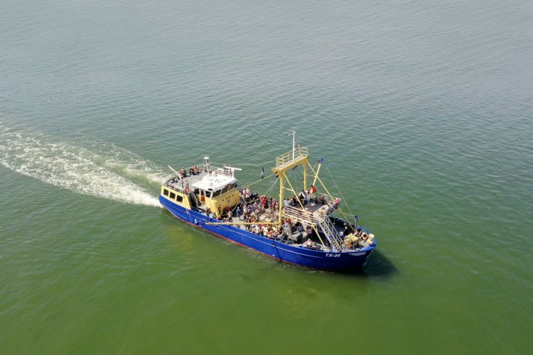 TX20 Garnalen vissen op Texel