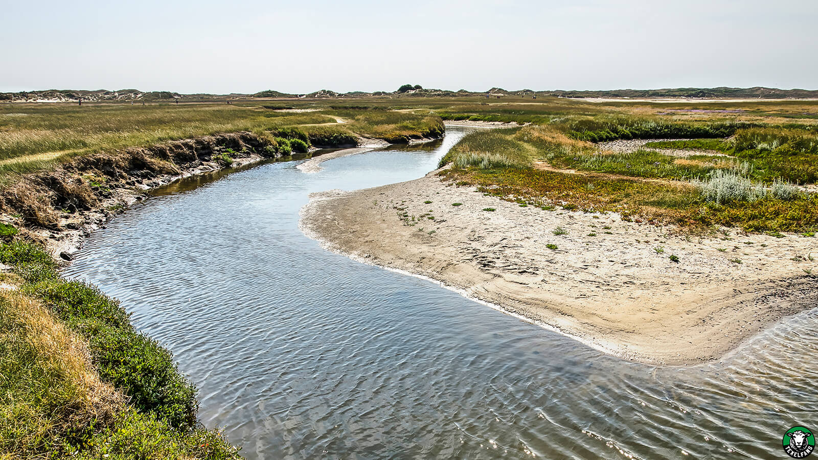 Natuurgebied De Slufter