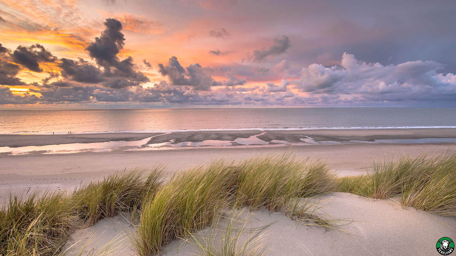 duinen-en-strand-texel