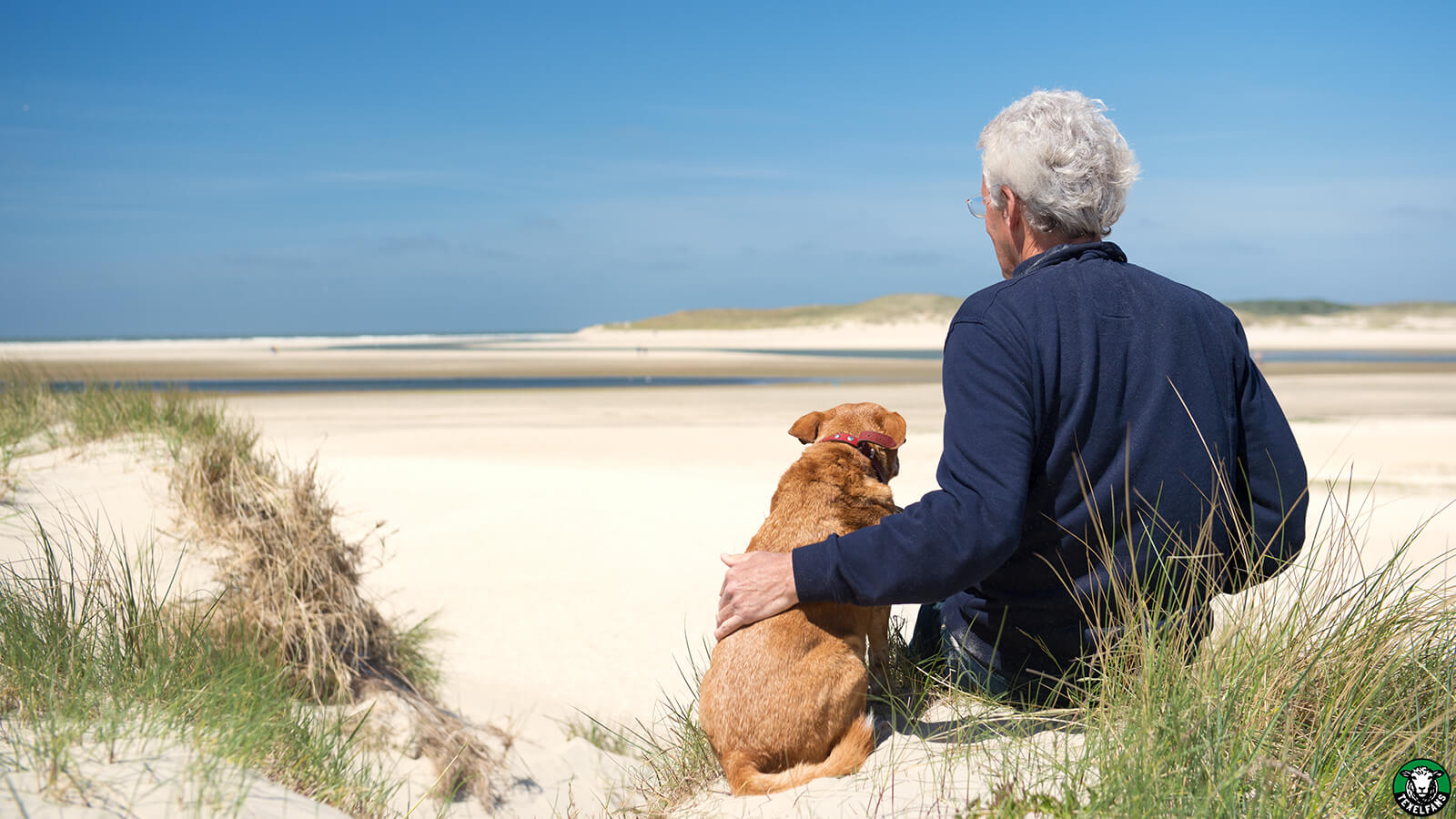 met-de-hond-naar-het-strand