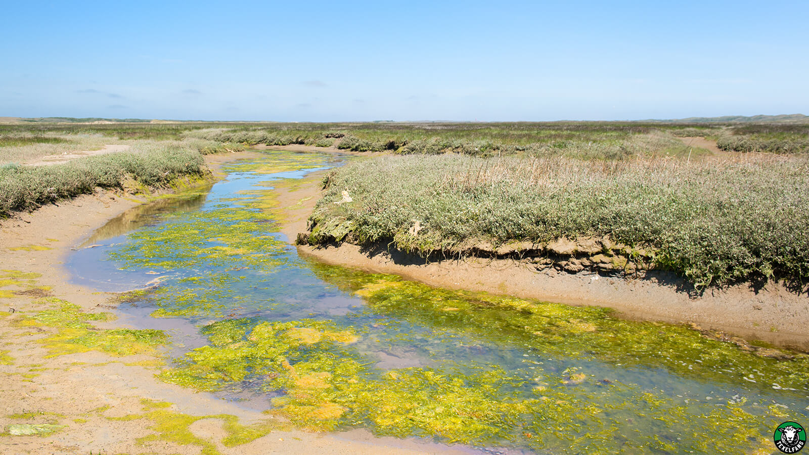 De Slufter op Texel