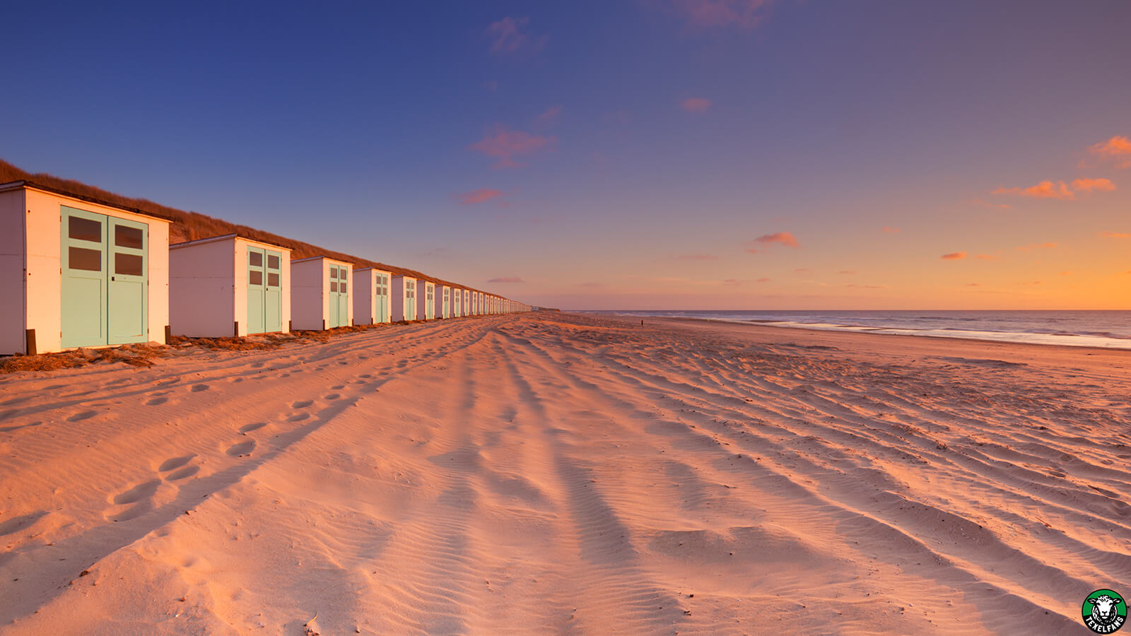 strandhuisjes-texel