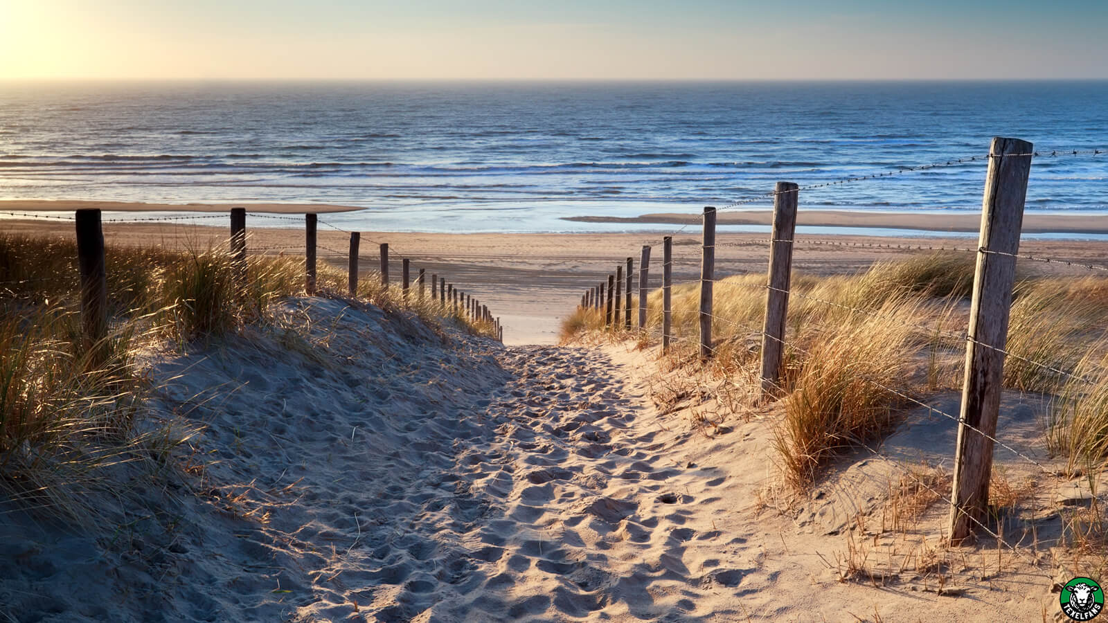 texel-strand-bij-hoogwater