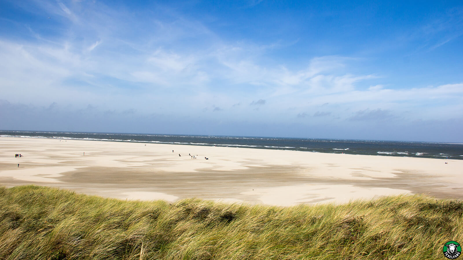 uitzicht-strand-texel