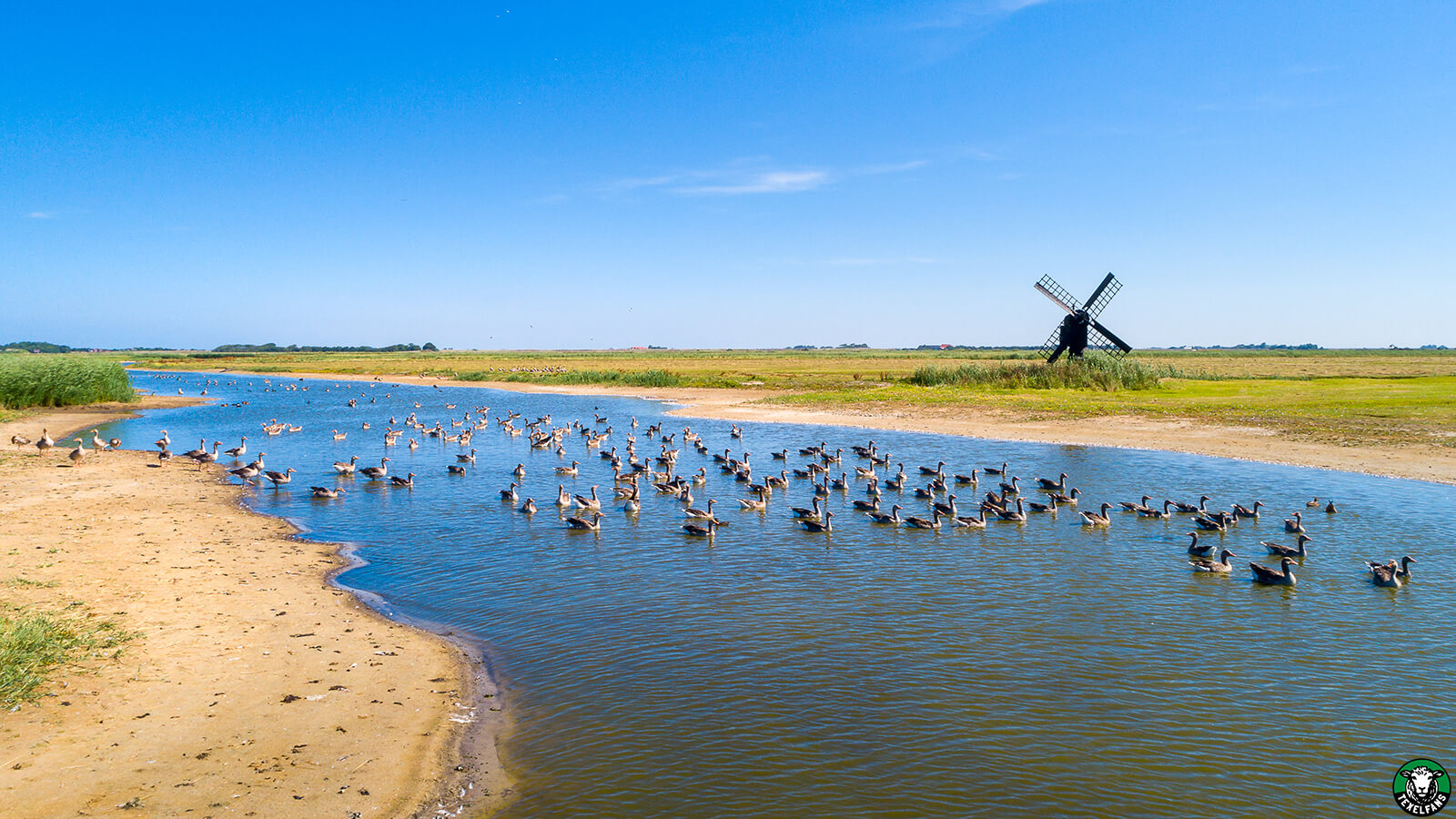 Natuurgebied Waalenburg